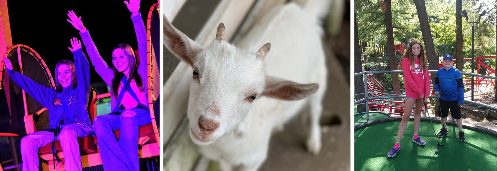 Wisconsin Dells Mini Golf, Outdoor Activities & Amusement at Timber